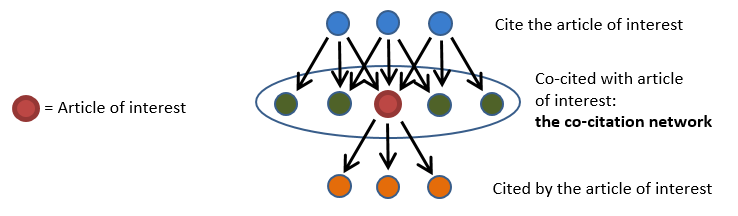 Diagram of a co-citation network