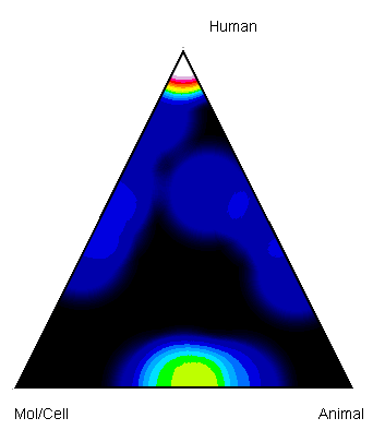 Triangle of biomedicine visualization